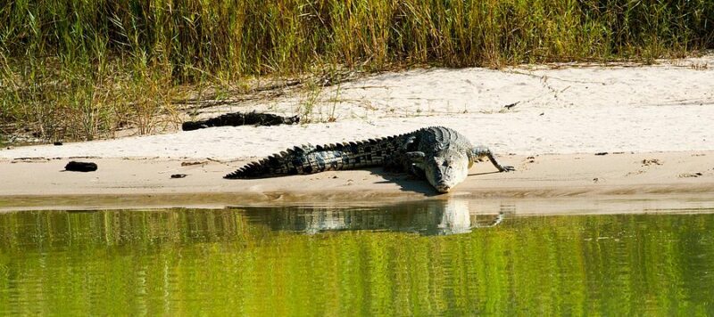 Tour kakadu 4 ngày 3 đêm