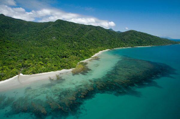 Cape Tribulation gần Cairns Úc nơi rừng mưa Daintree gặp biển xanh với cảnh quan thiên nhiên hoang sơ