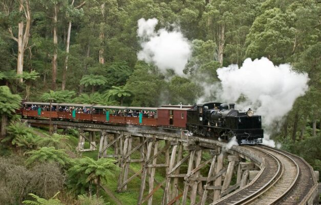 Check-in cầu gỗ Monbulk Creek giữa rừng xanh Yarra Valley, du khách dạo bước trên cây cầu gỗ nhỏ bắc qua con suối trong lành tại Australia
