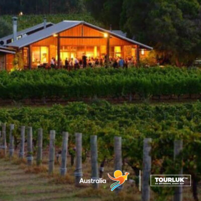 Winery tại Margaret River với vườn nho xanh và khu thưởng rượu ấm cúng tại Perth