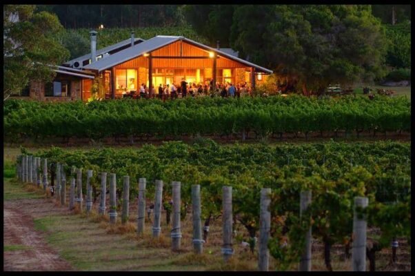 Winery tại Margaret River với vườn nho xanh và khu thưởng rượu ấm cúng tại Perth