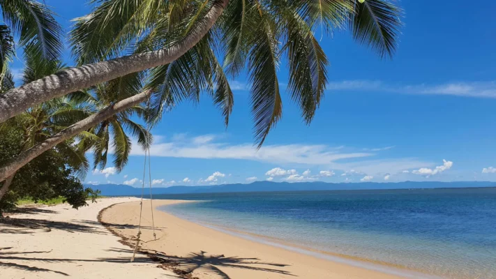 Bãi biển Mission Beach Queensland Úc với hàng dừa nhiệt đới và làn nước xanh gần Brisbane
