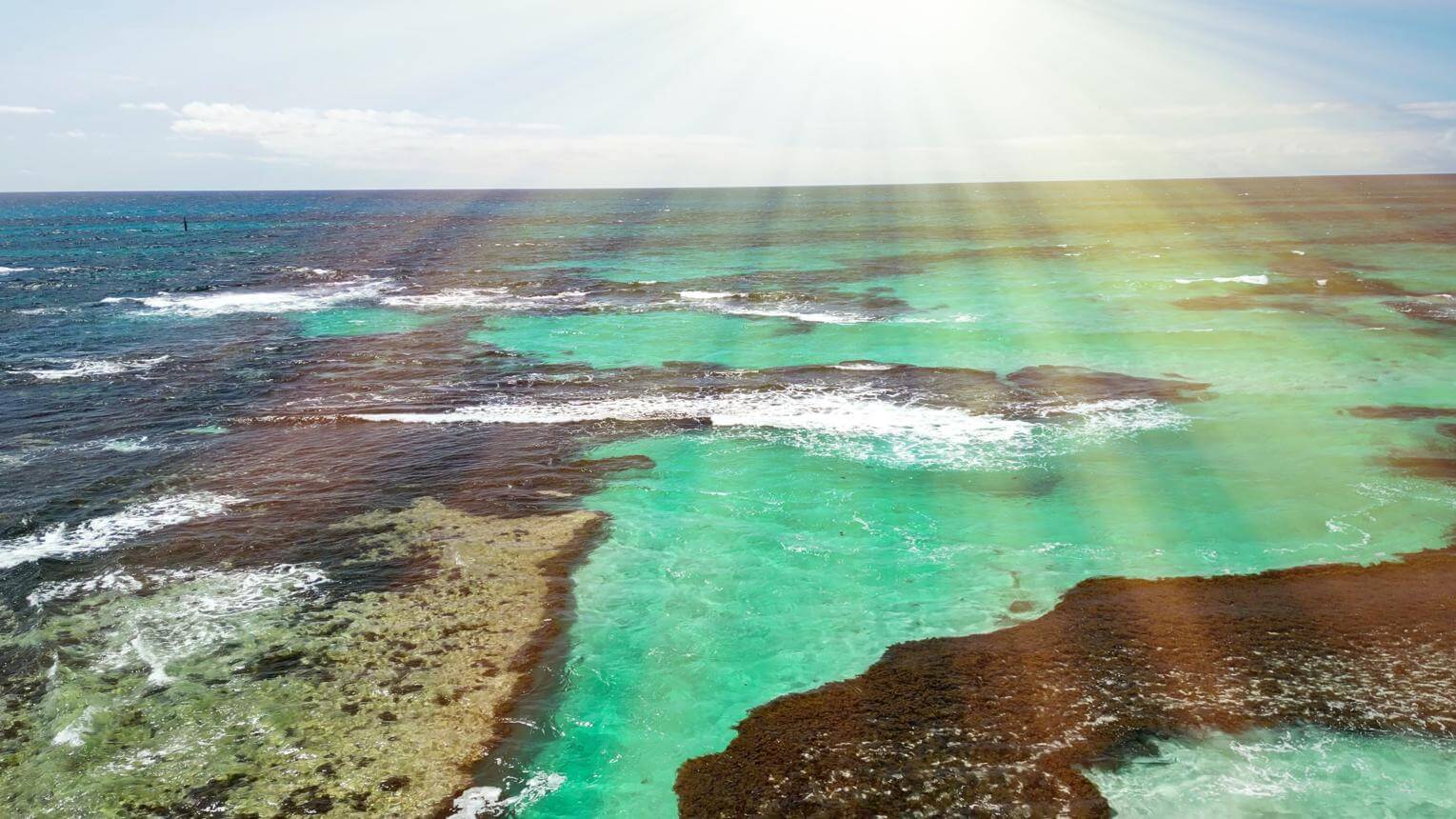 Biển xanh đảo Rottnest Tây Úc nước trong vắt trong tour Perth 5 ngày 4 đêm