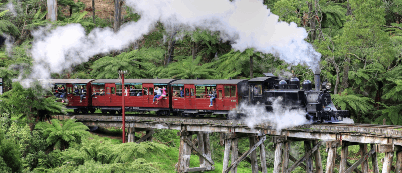 Puffing Billy steam train traveling through Dandenong Ranges forest Melbourne Australia