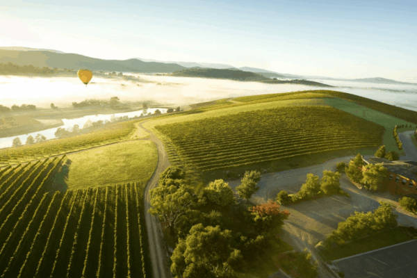 Scenic vineyard landscape in Yarra Valley wine region Victoria Australia