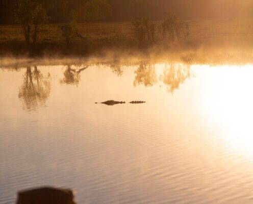 Tour Kakadu 2N1Đ Glamping