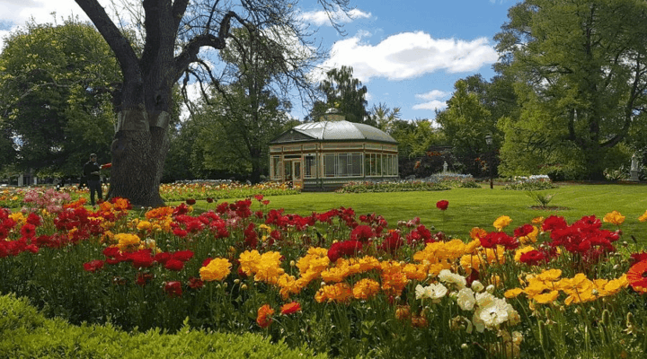 Ballarat Botanical Gardens Victoria historic park greenery Australia. Khám