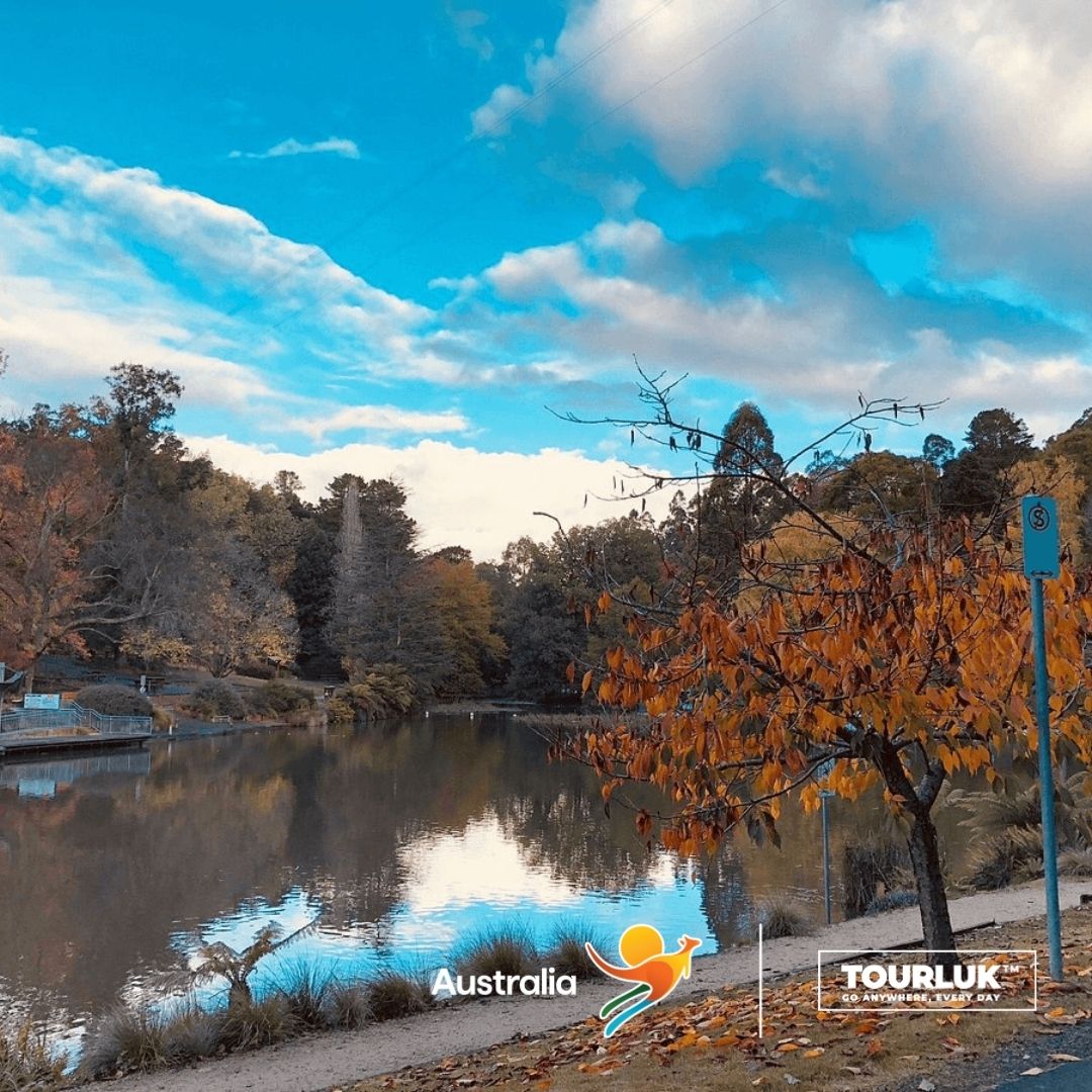 Emerald Lake Park scenic lake surrounded by forest in Dandenong Ranges Victoria Australia
