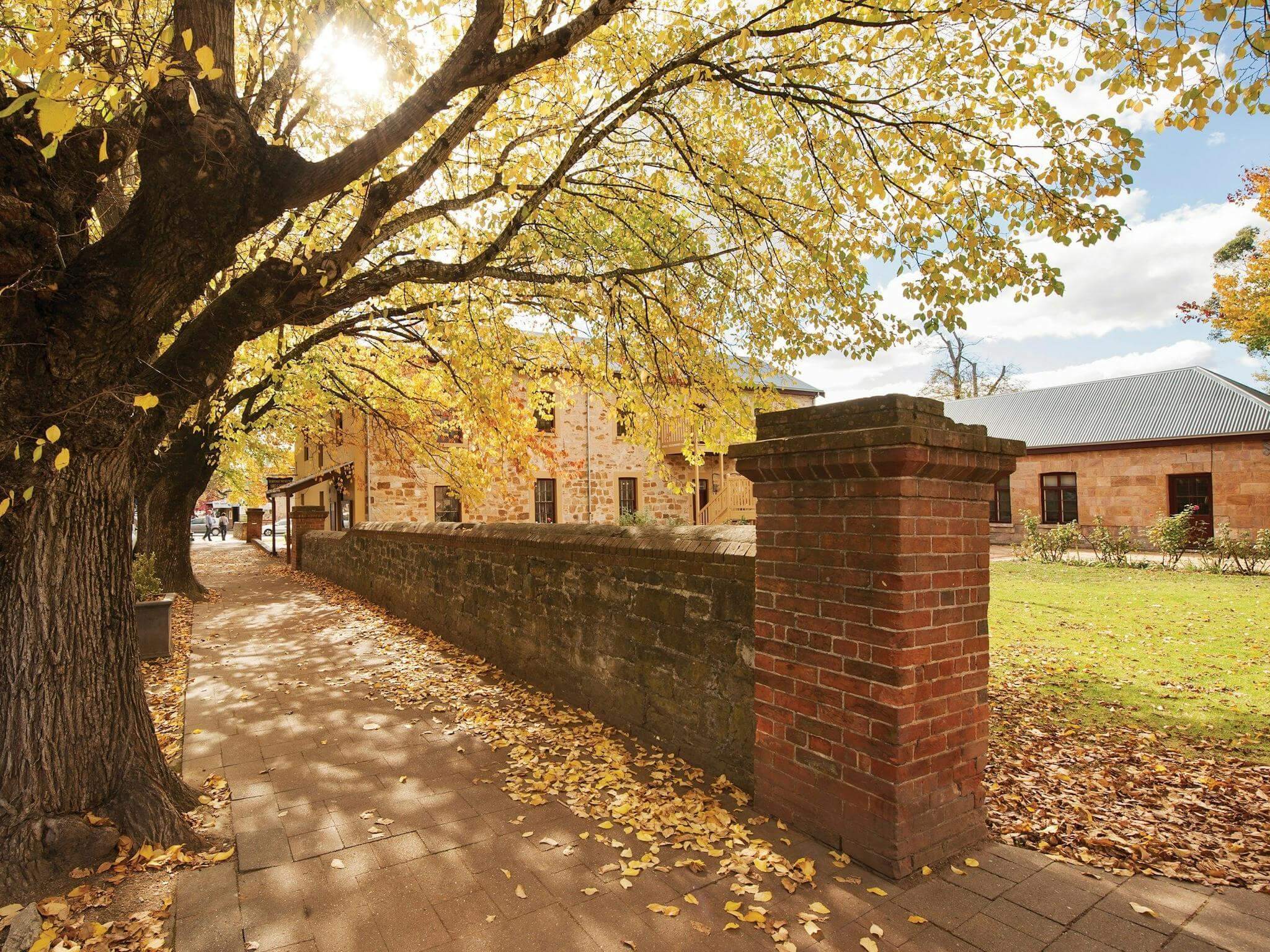 Khung cảnh Hahndorf Village tại Adelaide Hills, Úc với dãy nhà mang kiến trúc Đức cổ, đường phố yên bình và các cửa hàng đặc sản truyền thống