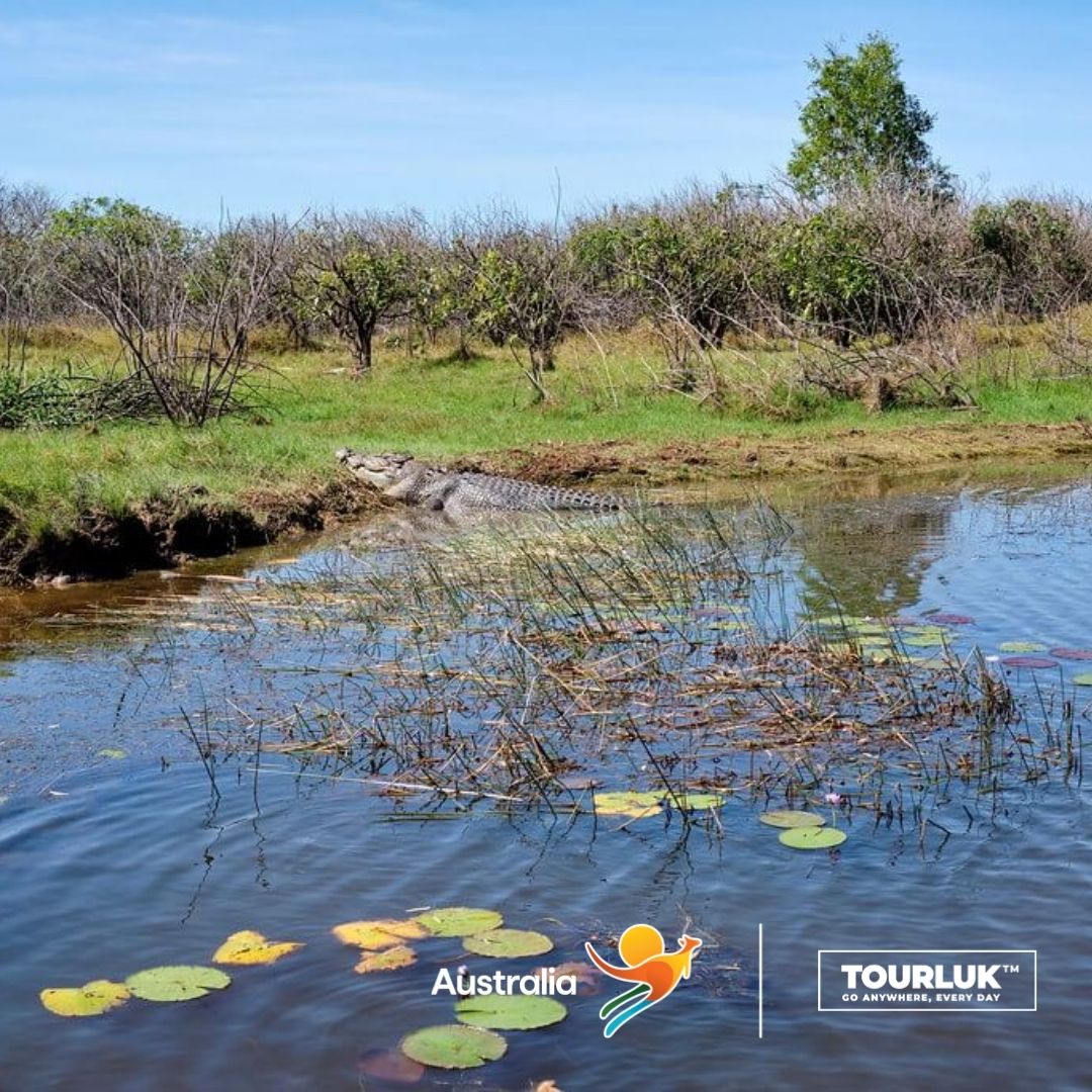 Mary River Wetlands Australia với vùng đất ngập nước và thiên nhiên hoang dã