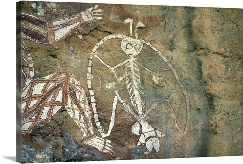 Cảnh rừng và thác nước khi du lịch Kakadu National Park Northern Territory Australia