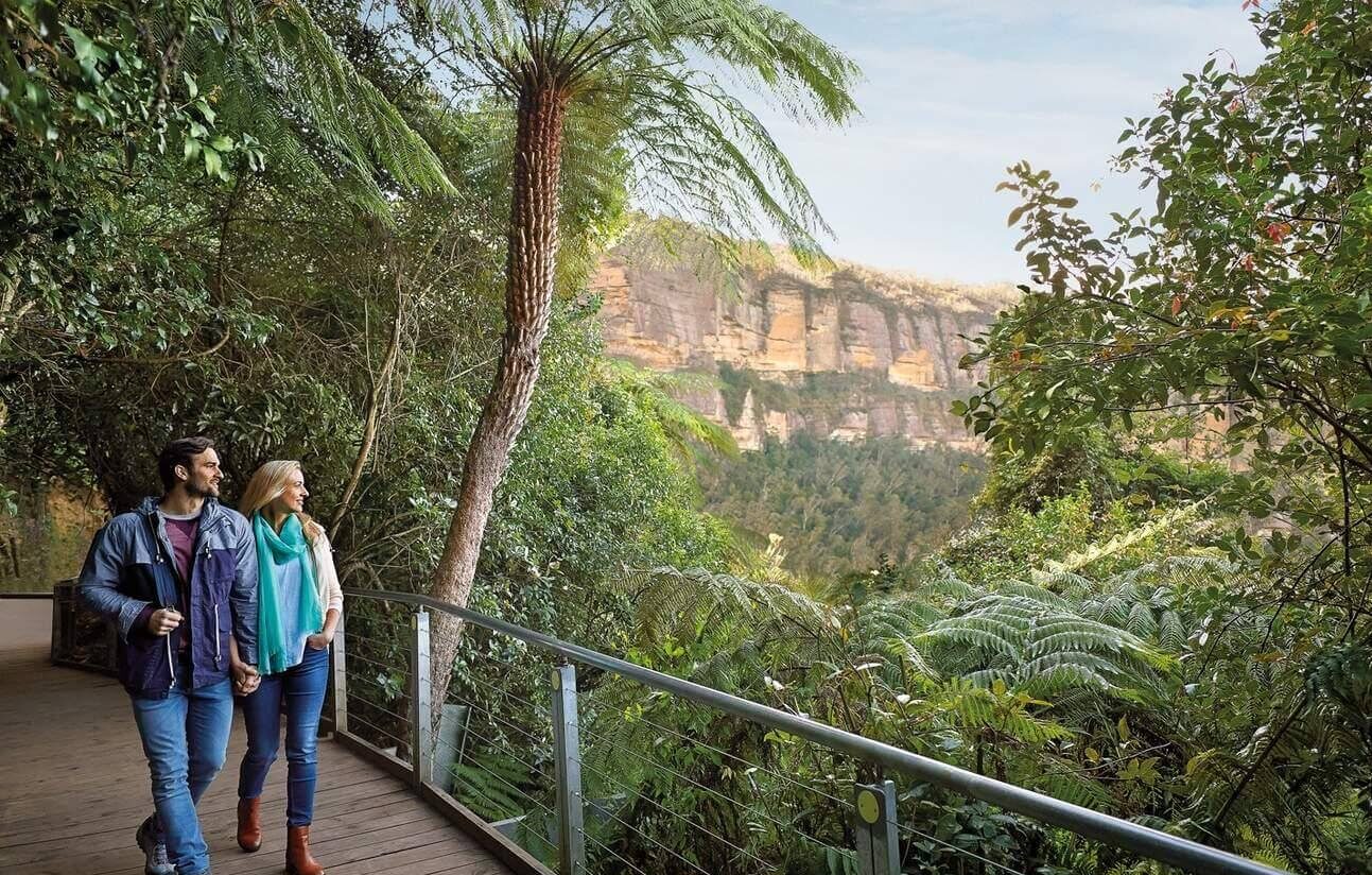 Scenic Walkway tại Scenic World Blue Mountains với lối đi gỗ xuyên rừng nhiệt đới xanh mát giữa thung lũng Jamison