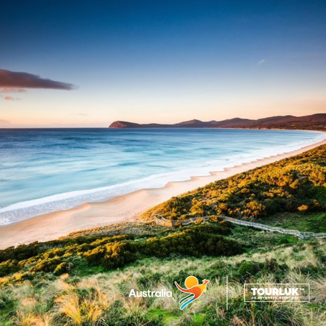 Bãi biển tuyệt đẹp tại Tasmania, Úc với bờ cát trắng trải dài, làn nước xanh trong và những ngọn đồi ven biển dưới ánh nắng dịu nhẹ.