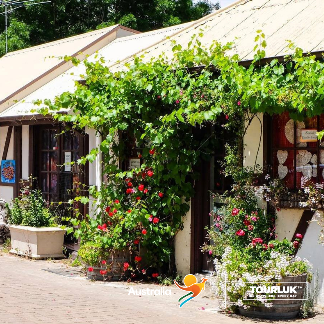 Ngôi nhà mang kiến trúc Đức cổ tại làng Hahndorf với giàn hoa leo và không gian yên bình đặc trưng. 