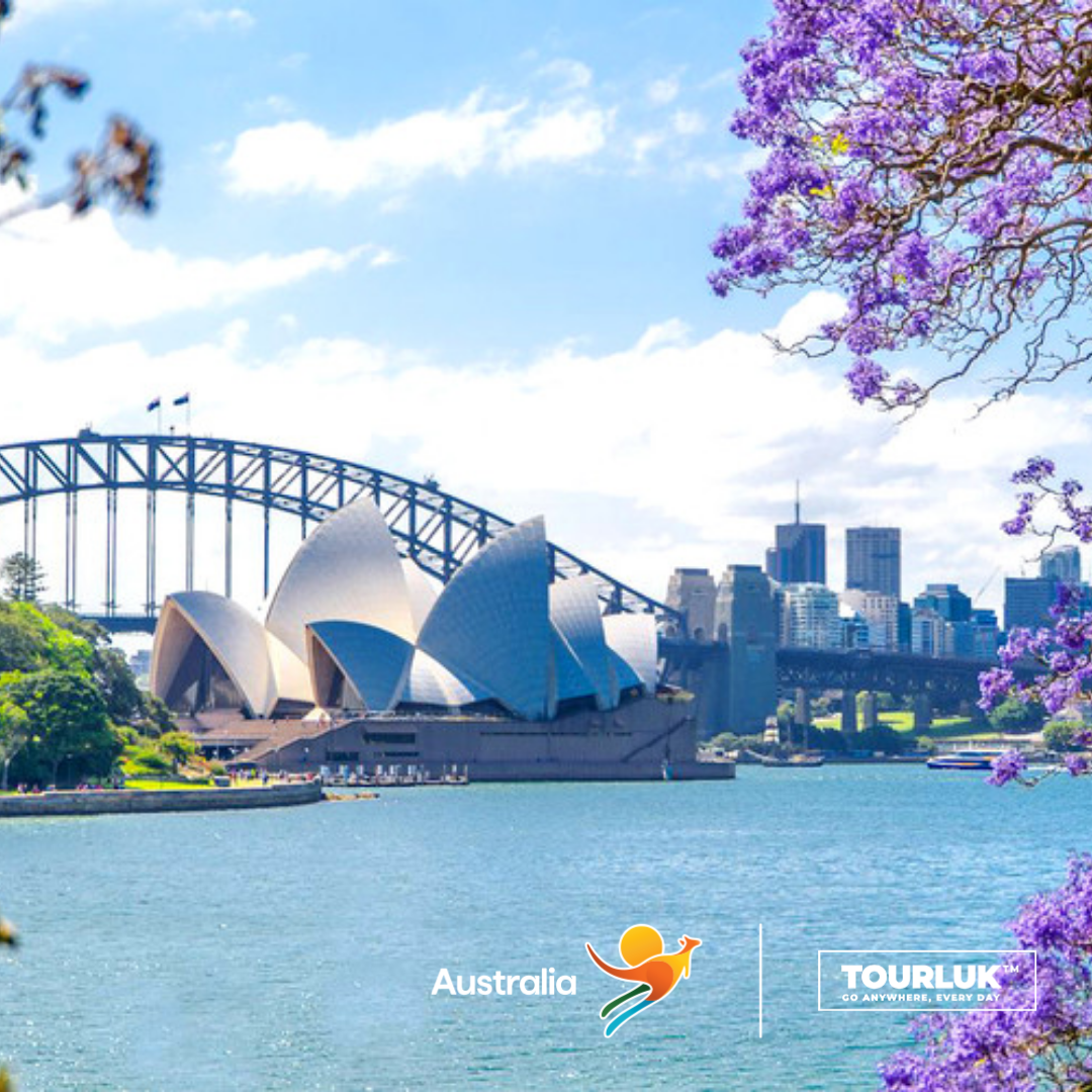 Nhà hát Opera Sydney và Cầu cảng Sydney nổi bật bên bờ vịnh, được bao quanh bởi những tán hoa phượng tím rực rỡ trong ngày nắng đẹp tại Úc.