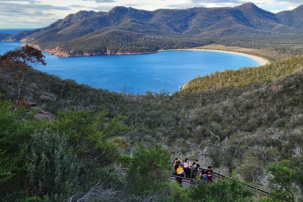 Ảnh toàn cảnh Wineglass Bay Lookout tại Tasmania với biển xanh và núi rừng thiên nhiên.