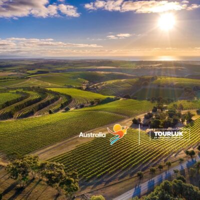 Adelaide Hills South Australia với những cánh đồng nho trải dài và phong cảnh thiên nhiên tuyệt đẹp gần thành phố Adelaide
