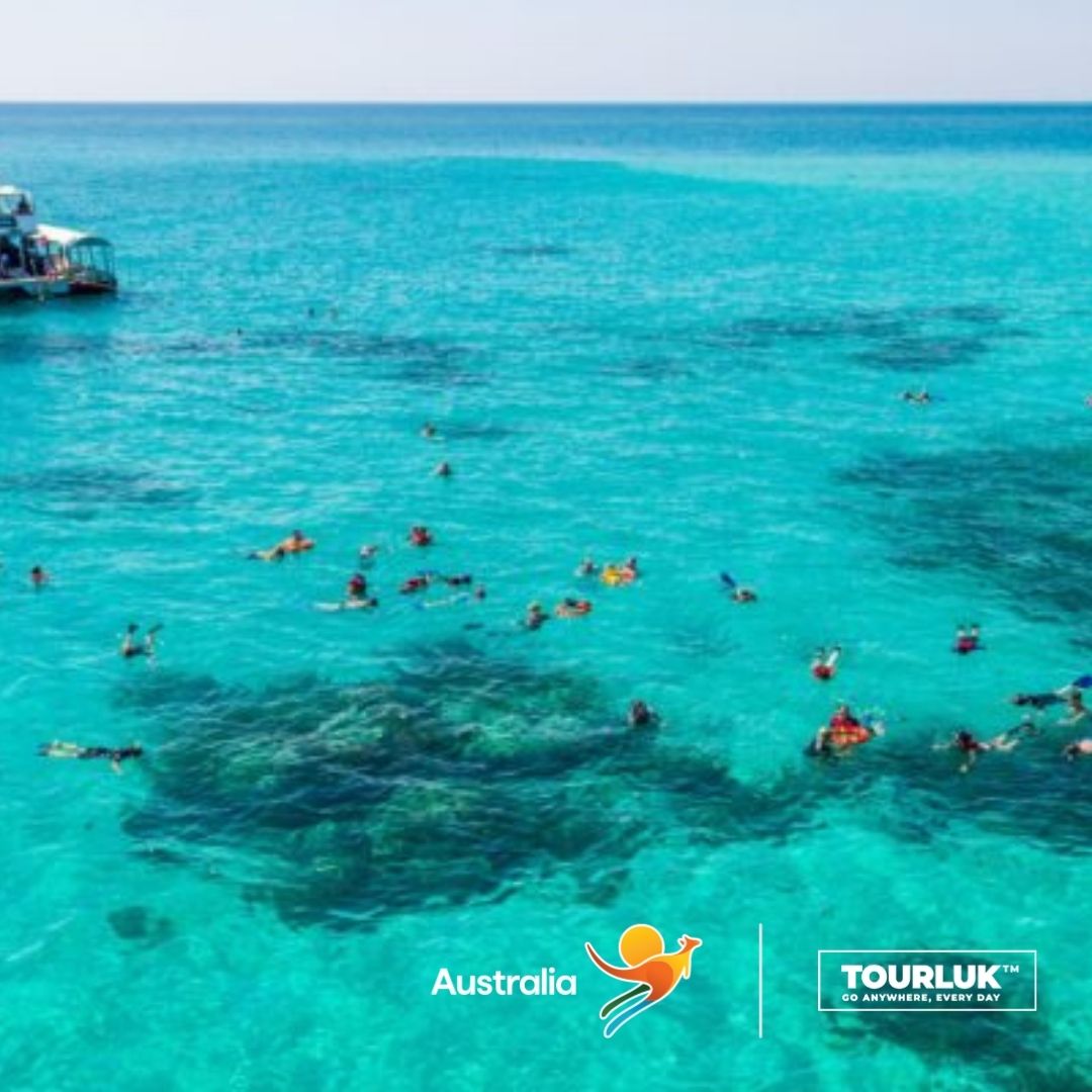 Du lịch Úc tự túc, Snorkeling tại Upolu Cay Reef trên Great Barrier Reef từ Cairns, Queensland, Úc