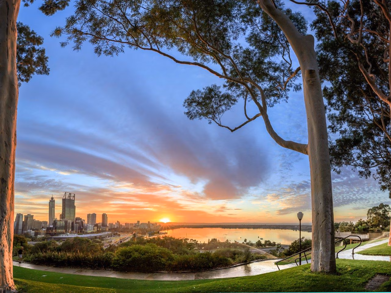 King Park Perth với khung cảnh thiên nhiên xanh mát và góc nhìn toàn cảnh thành phố Perth, Úc