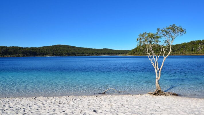 Lake McKenzie tại Fraser Island với làn nước trong xanh và bãi cát trắng tại Queensland, Úc