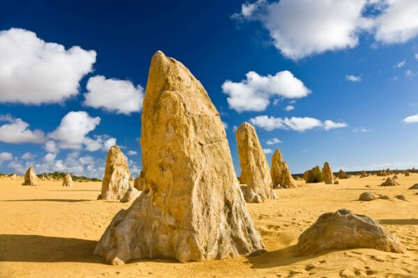Sa mạc Pinnacles với các cột đá vôi tự nhiên tại Nambung National Park, Perth, Tây Úc