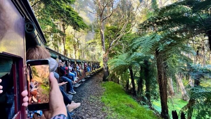 Tàu hơi nước cổ Puffing Billy chạy qua rừng Dandenong tại Melbourne, du khách ngồi vắt chân trên toa tàu ngắm cảnh thiên nhiên