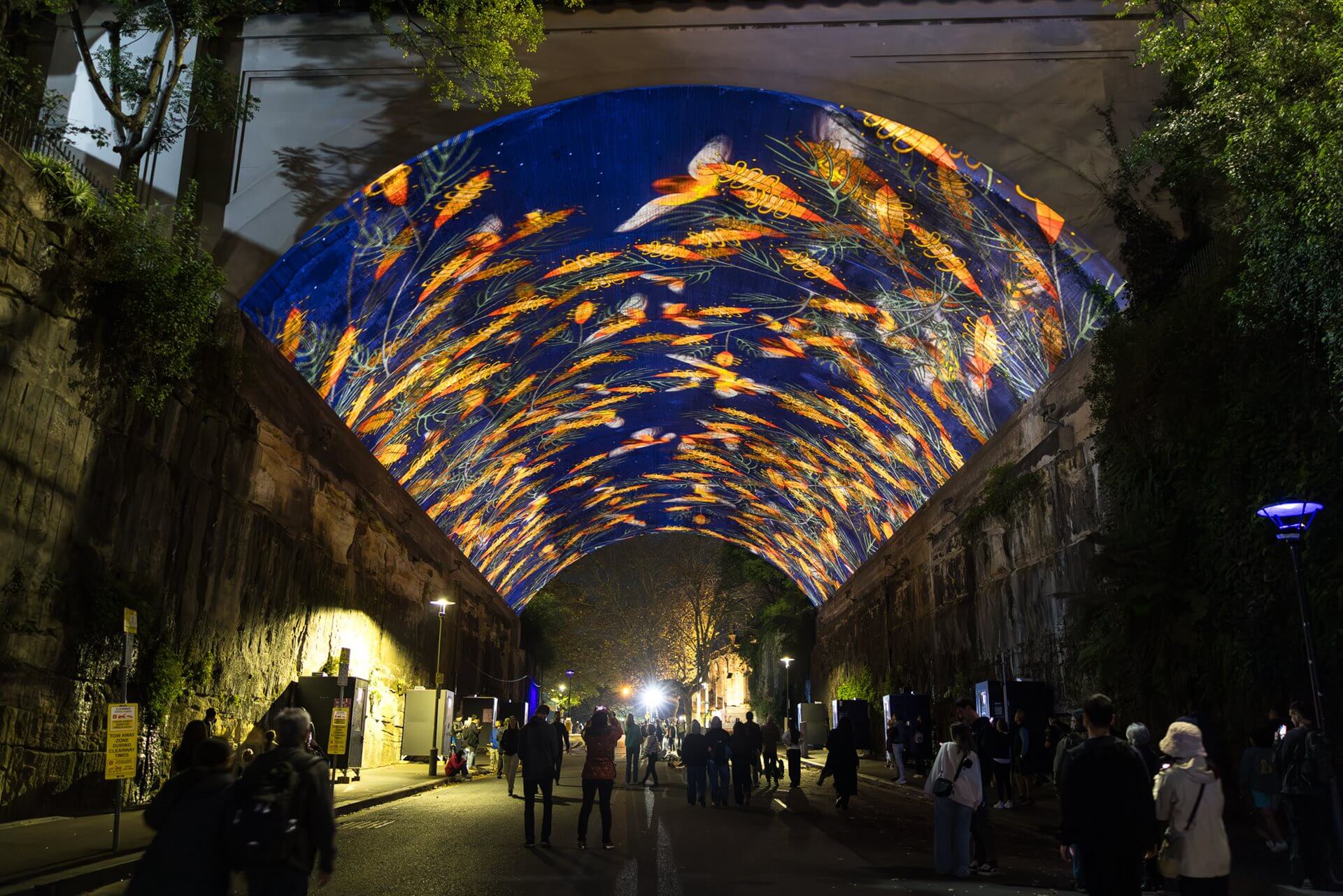 Màn trình diễn ánh sáng nghệ thuật rực rỡ tại Vivid Sydney với hiệu ứng màu sắc sống động phủ kín mái vòm đường hầm, thu hút đông du khách tham quan vào ban đêm.