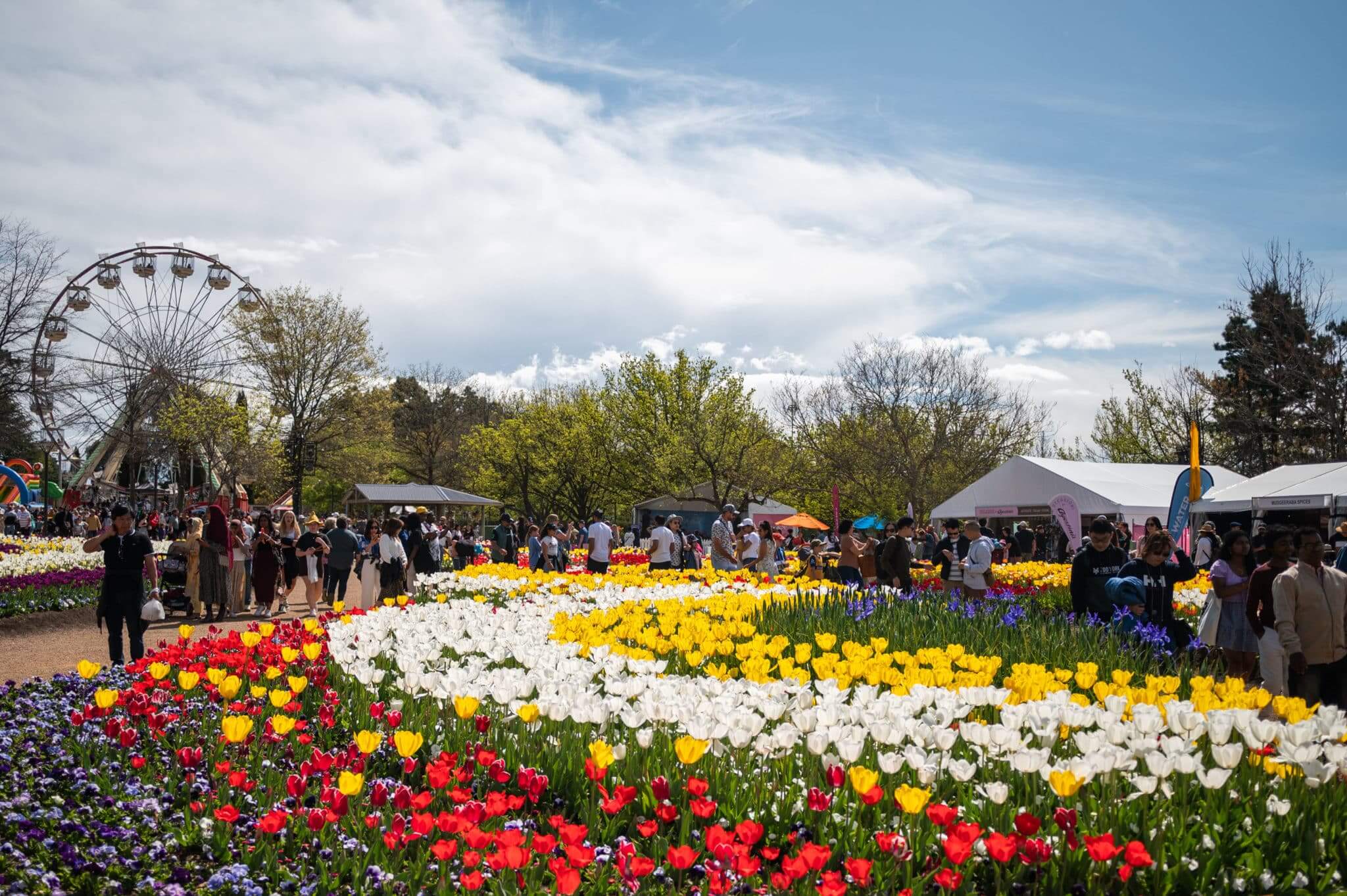 Floriade Canberra Australia với những vườn hoa rực rỡ sắc màu tại lễ hội hoa lớn nhất Nam bán cầu